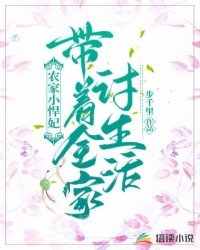 农家小悍妃:带着全家讨生活