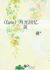 (fate)月光回忆录